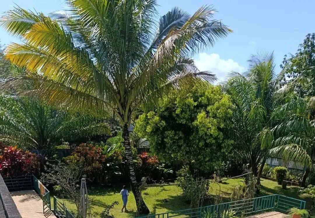 Prestige 250 m² villa with pool on 1,200 m² – Toamasina