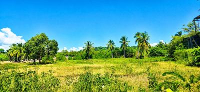 Beachfront land 3,800 m² – Andilana, Nosy Be