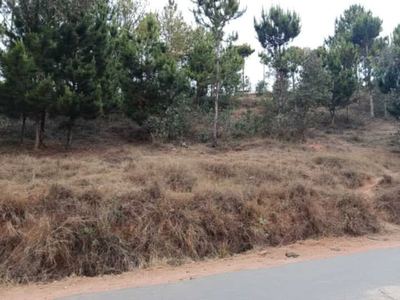 Titled roadside land 4,000 m² on the RN1 – west of Antananarivo