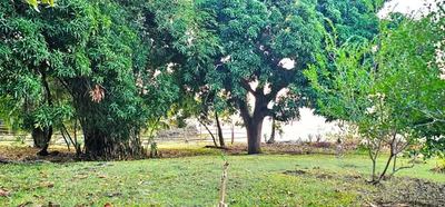 Beachfront land 1,000 m² – Antanamitarana, Nosy Be