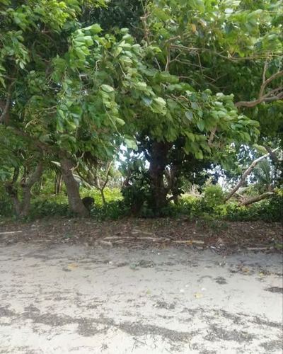 Titled beachfront land 1,164 m² with direct sea access – Sainte-Marie